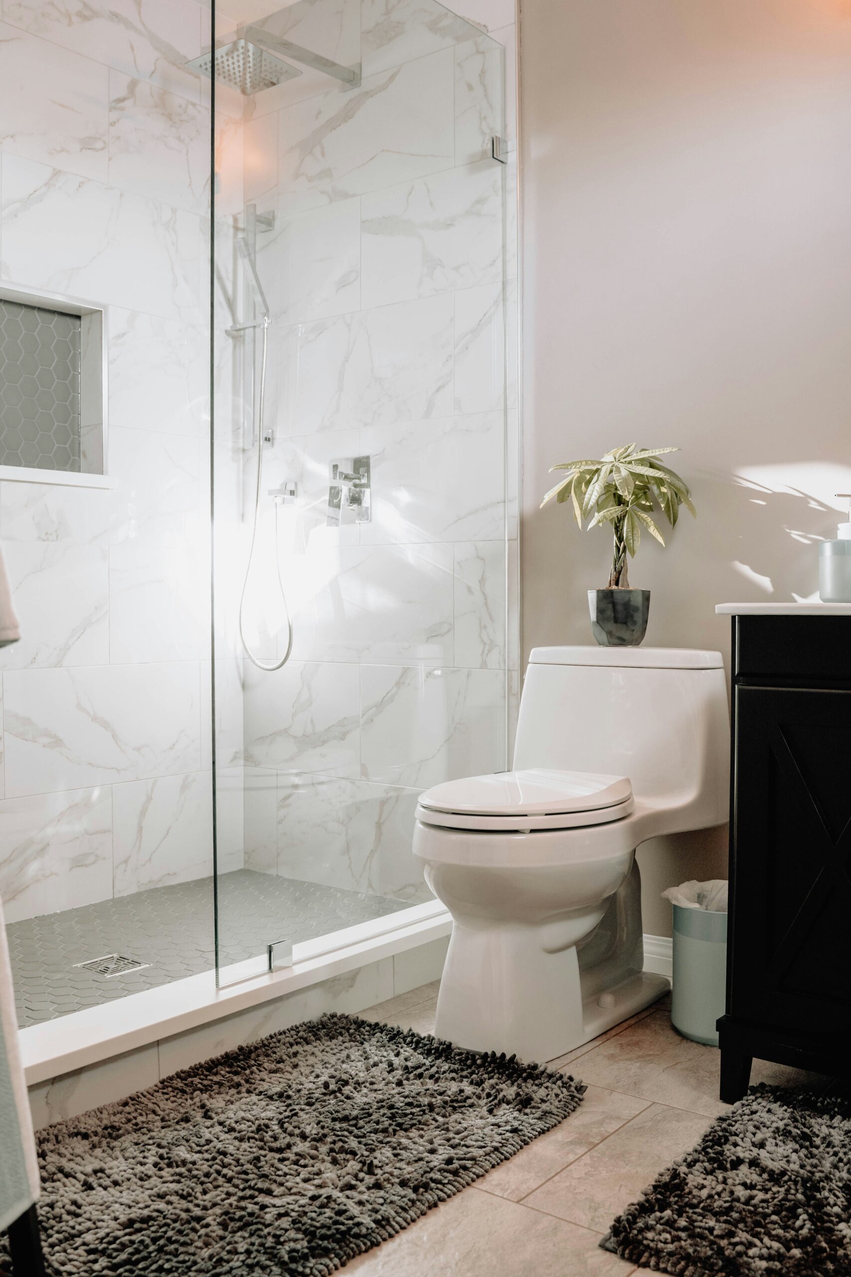 Shower Screens Sydney 2 99 films 48mTwDzizqE unsplash scaled